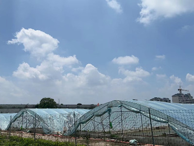 恩拓博高速增氧機(jī)上海使用案例！